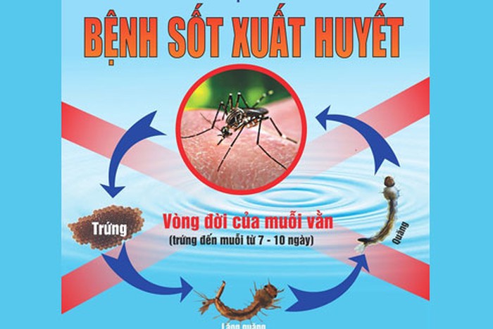 Bệnh sốt xuất huyết và các biện pháp phòng tránh